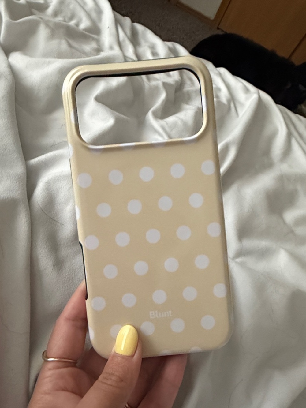 Blunt Cases iPhone 17 Pro Max Case